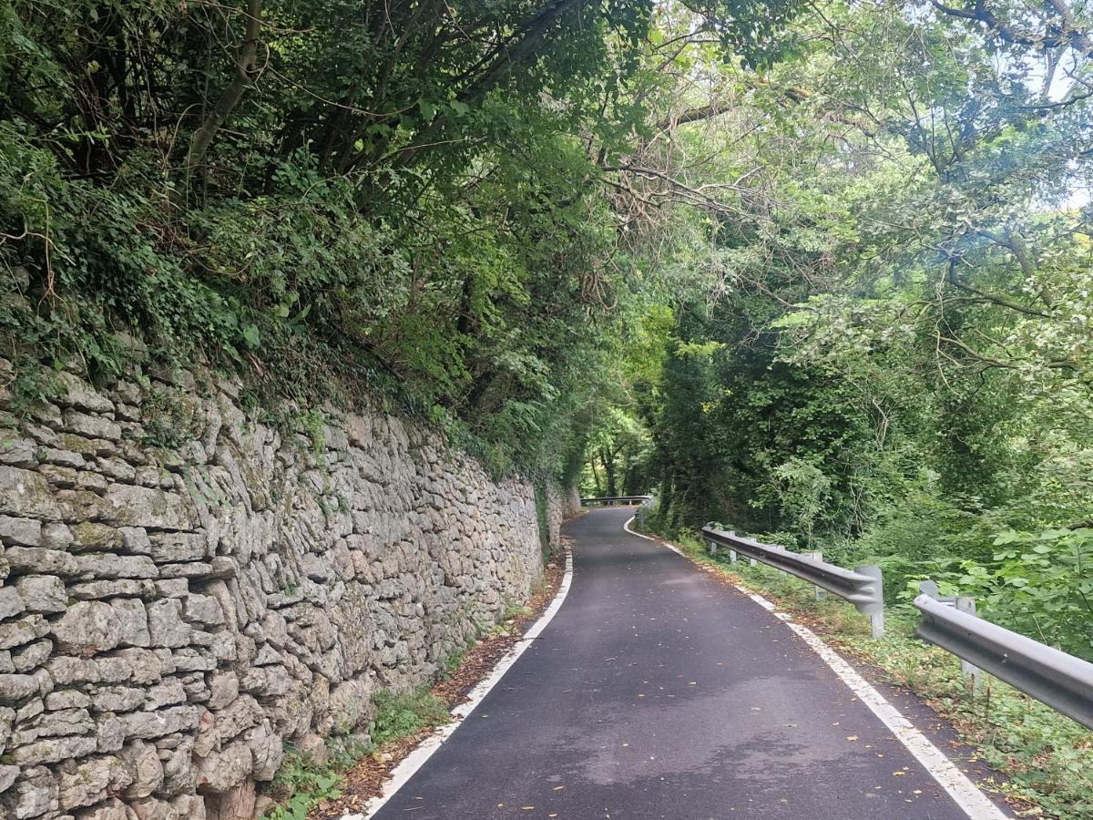 Appartamento Nataly SantʼAmbrogio di Valpolicella Esterno foto